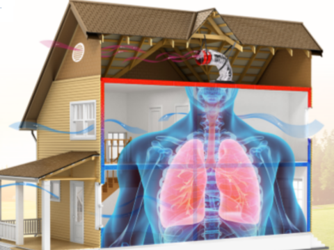 House-Lung-no-bg.png House-Lung-no-bg.png